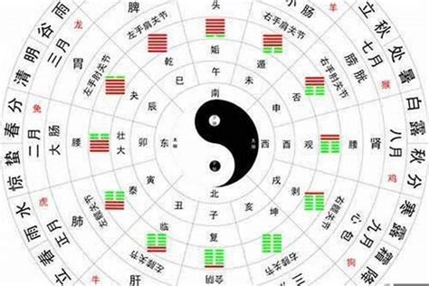 金木水火土 查詢|五行查询免费,测五行生辰八字,测算自己的五行